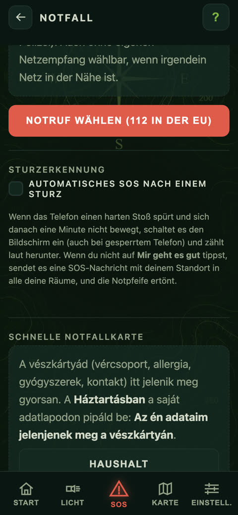 Sturzerkennung